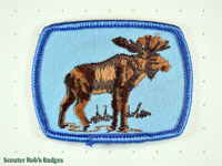 Moose (Light Blue)